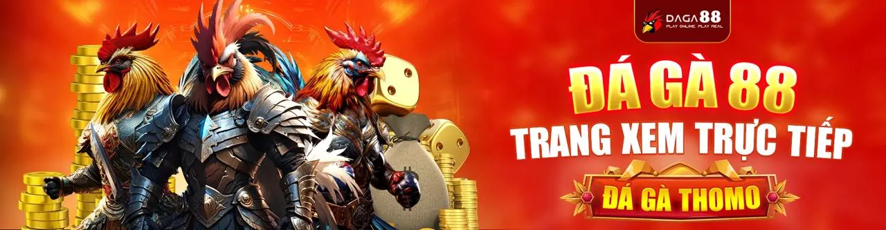 Đá gà trực tuyến sôi động tại tt3979