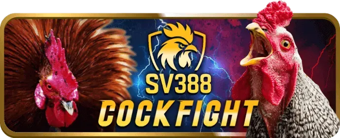Chương Trình VIP tt3979